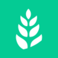 王者荣耀2024最新版